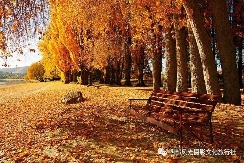 逃出上锁的现代房间2