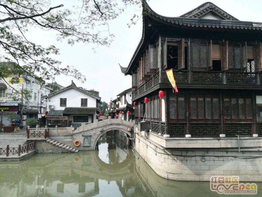 “恰同学少年,智游新湘江”守护美丽长江主题研学旅游活动启动
